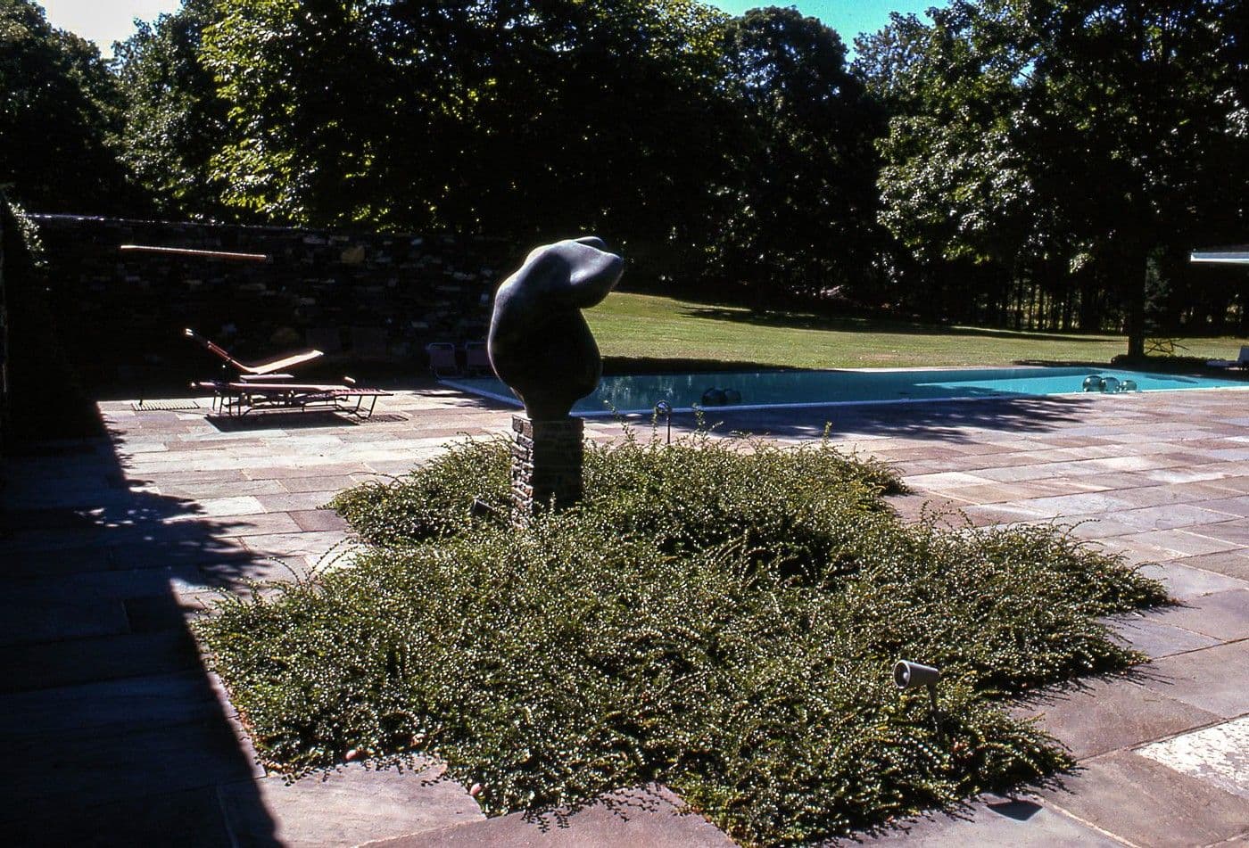 Sculpture by pool - Human Lunar Spectral by Jean Arp
