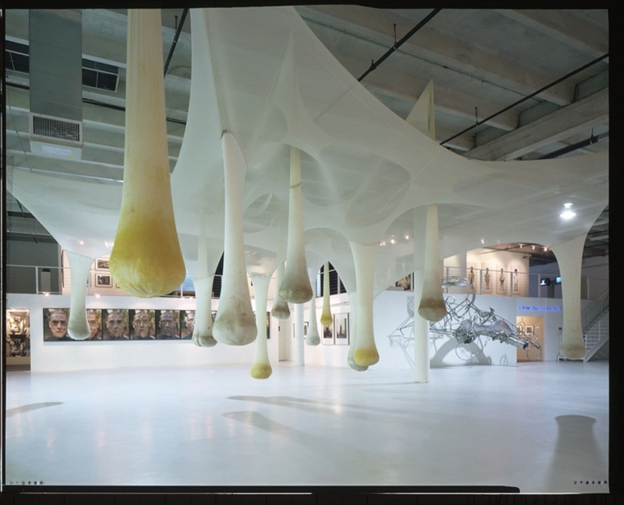 Installation view of the Margulies Collection at the Warehouse featuring Ernesto Neto