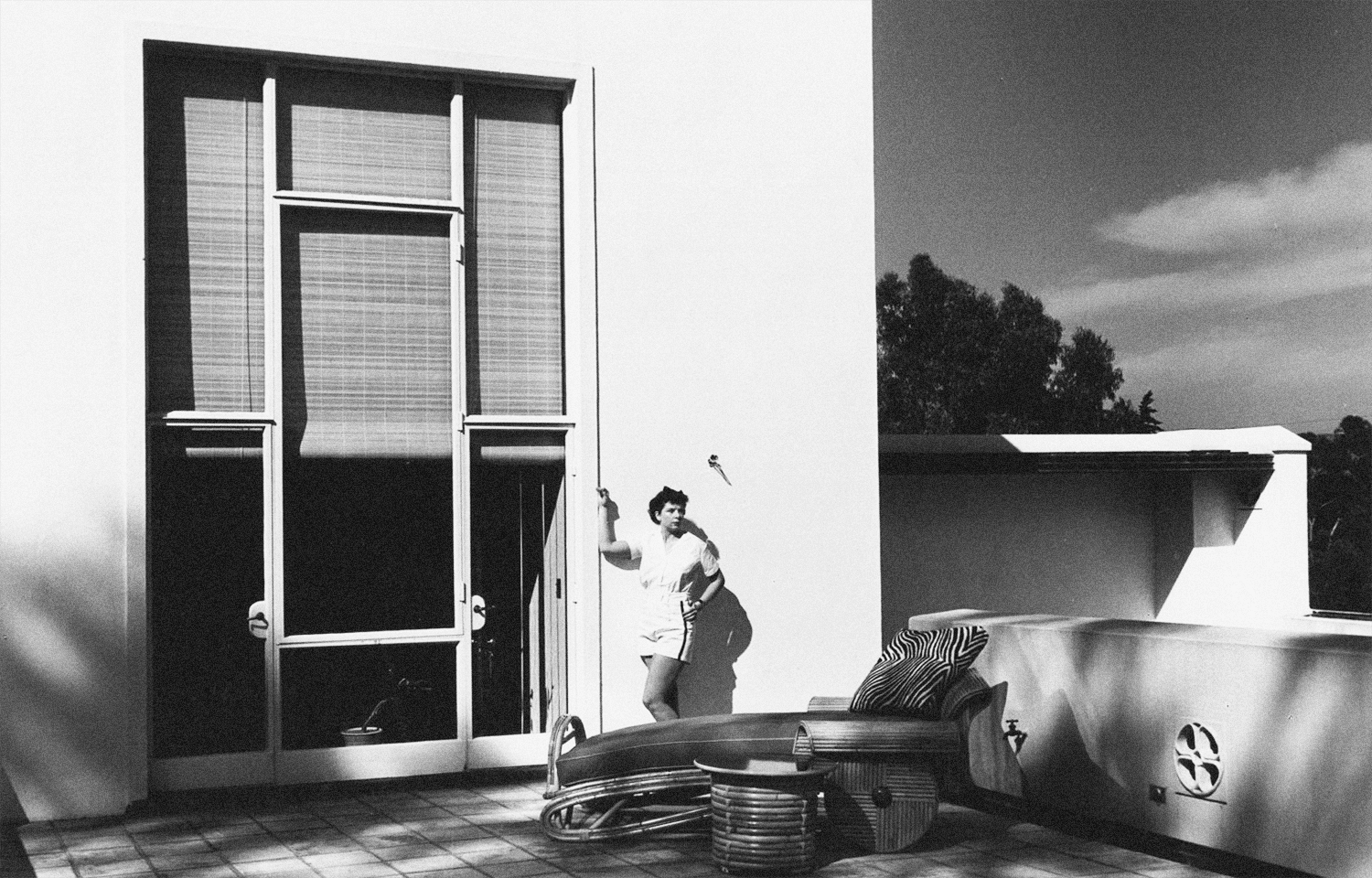 learning differences - emily hall tremaine foundation... Larry Gagosian: On the Tremaines and Art | The Tremaine Collection